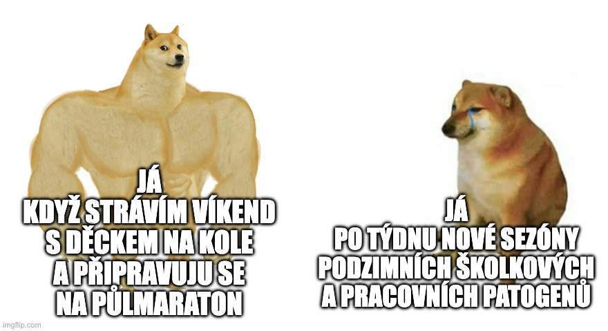 doge meme